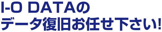 I・O DATA アイ・オー LANDISKデータ復旧はお任せください