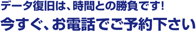 LANDISK復旧のため 今すぐ お電話でご予約ください